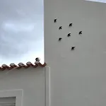 Casinhas Da Ajuda Nº15 Dağ evi